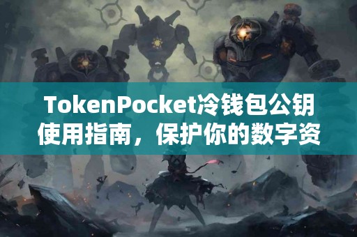 TokenPocket冷钱包公钥使用指南，保护你的数字资产